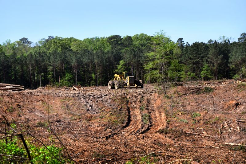 Heavy Equipment in Land Clearing