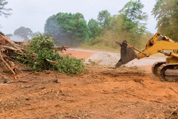 Ground Clearing in Homosassa