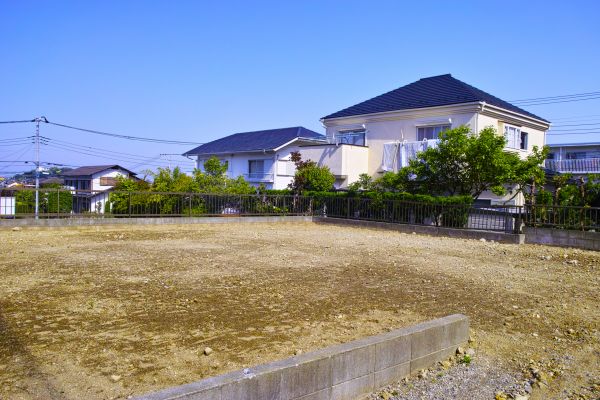 Cost of Lot Clearing Service in Homosassa