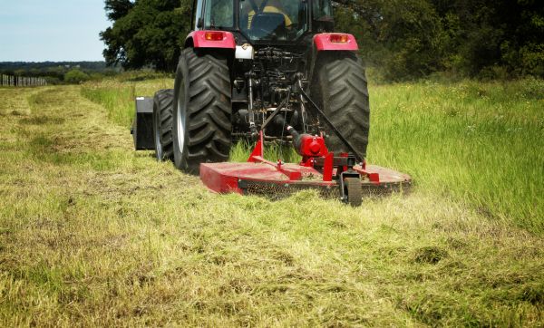 Brush Clearing Service in Homosassa