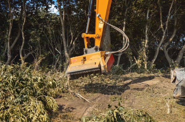Brush Removal Service in Homosassa