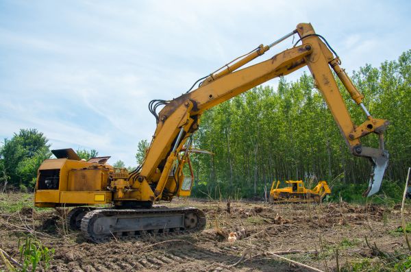 Farm Clearing in Homosassa
