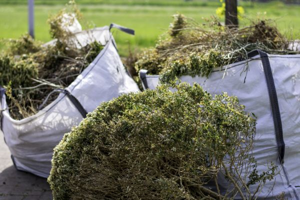 Cost of Bushes Clearing in Homosassa