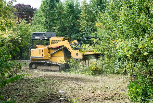 Pathway Clearing in Homosassa