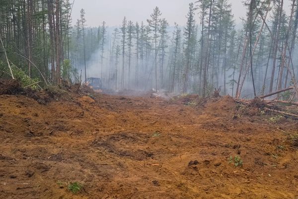 Hill Clearing in Homosassa