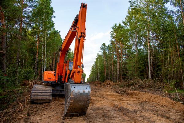 Backhoe Land Clearing in Homosassa