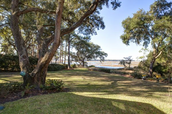 Lakefront Property Clearing in Homosassa
