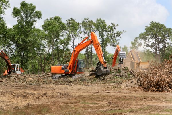 Commercial Lot Clearing in Homosassa