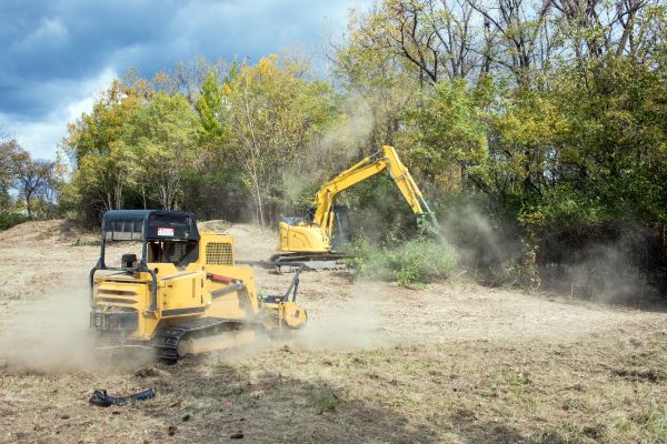 Terrain Clearing in Homosassa
